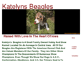 katelynsbeagles.com