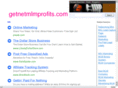 makeprofitonlinenow.com
