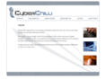 cyberchilli.com