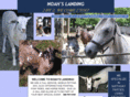 noahslandingzoo.com