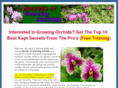 secretsofgrowingorchids.com