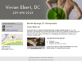 swflchiropractor.com