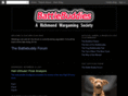 battlebuddy.net