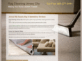 rugcleaningjerseycity.com
