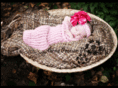annepearsonphotography.com
