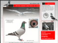 bookpigeons.com