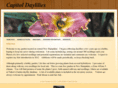 capitoldaylilies.com