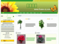 flower-nj.com