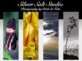 silversaltstudio.com