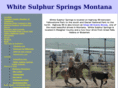 whitesulphurspringsmt.com