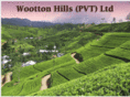 woottonhills.com