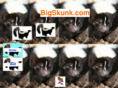 bigskunk.com