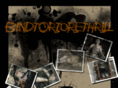 bindtorturethrill.com