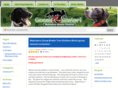 problemgeese.com