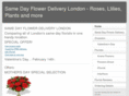 samedayflowerdeliverylondon.co.uk