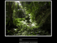 wildweaver.net