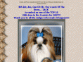 mrfooshihtzu.com