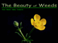 thebeautyofweeds.com