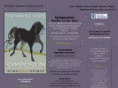thewholehorsesymposium.com