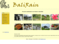 balirain.com