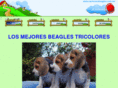 cachorrosbeagles.com