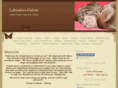 labradorsgalore.com