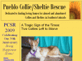 pueblocolliesheltie.org