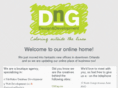 dng-inc.com