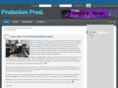 prutonionproductions.net
