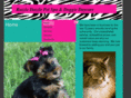 razzledazzlepetspa.com