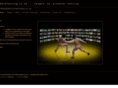 2012fencing.com