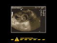 amclassone.com