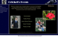 cricketsfocus.com