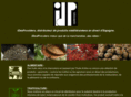 ideaproviders.com