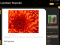 singrodia.com