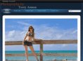 terryanson.com