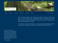 55-5consulting.com