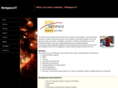 netspaceit.com