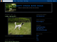 sleepycreekbirddogs.com