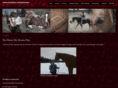 smhorsemanship.com