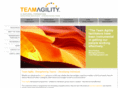 teamagility.com