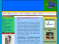thepalmmarine.com