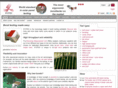 xyz-tec.com