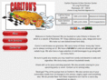 carltonexpress.com