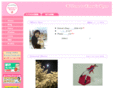 emmai.com