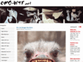 omg-wtf.net