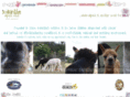 iolanthealpacas.com