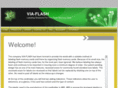 via-flash.com