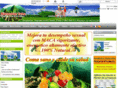 bienestarinka.com