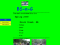 bs-n-g.com